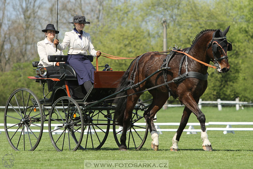 Rudolfův pohár 2016 - 2.den