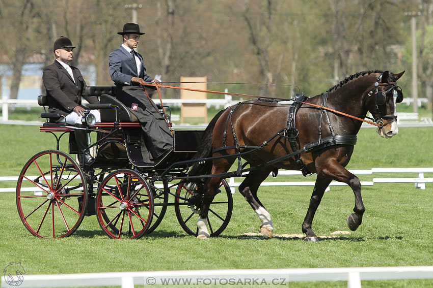 Rudolfův pohár 2016 - 2.den