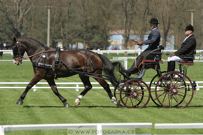 Rudolfův pohár 2016 - 2.den