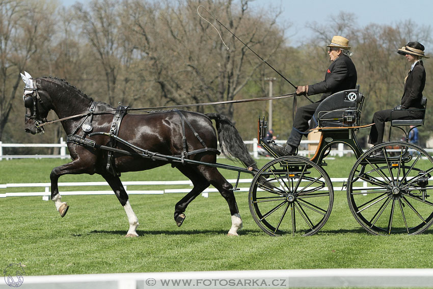 Rudolfův pohár 2016 - 2.den