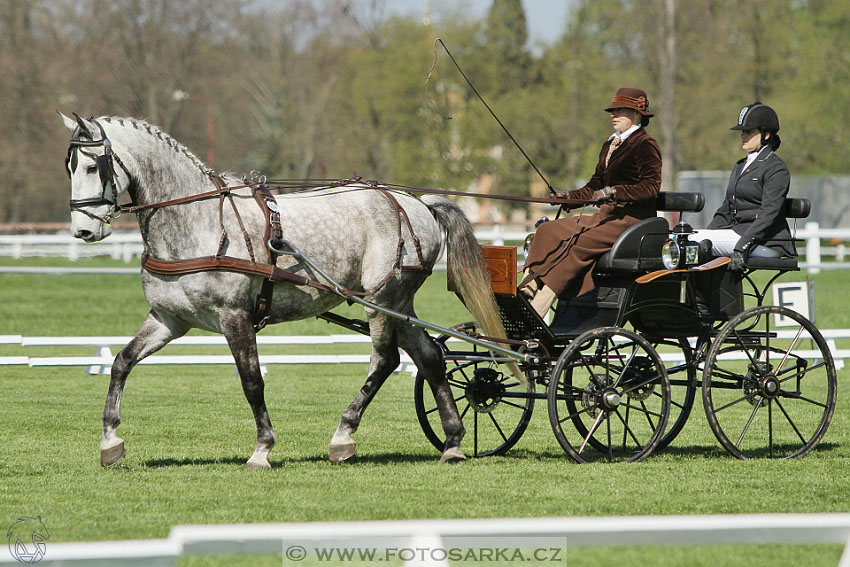 Rudolfův pohár 2016 - 2.den