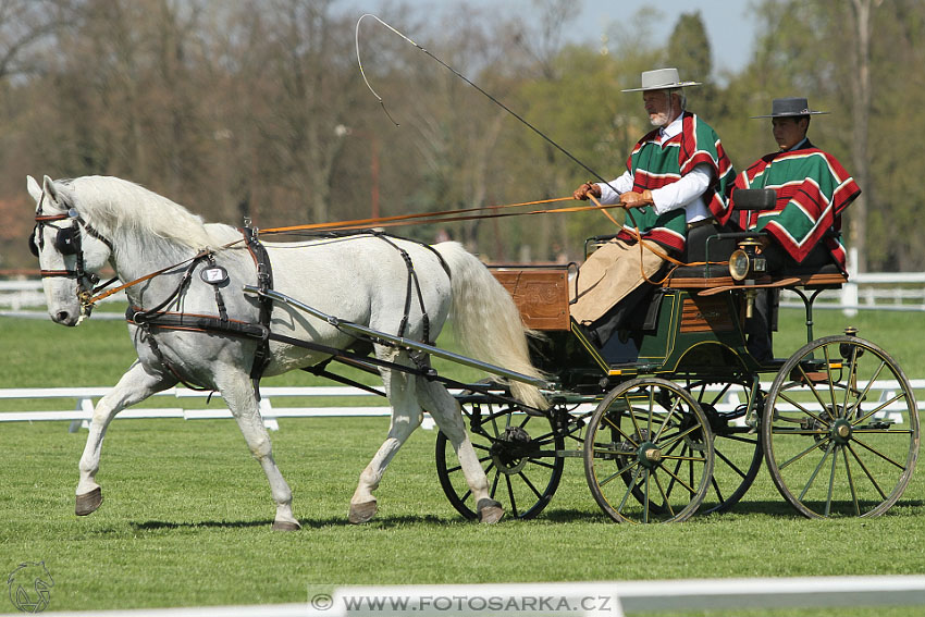 Rudolfův pohár 2016 - 2.den