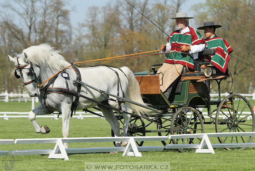 Rudolfův pohár 2016 - 2.den