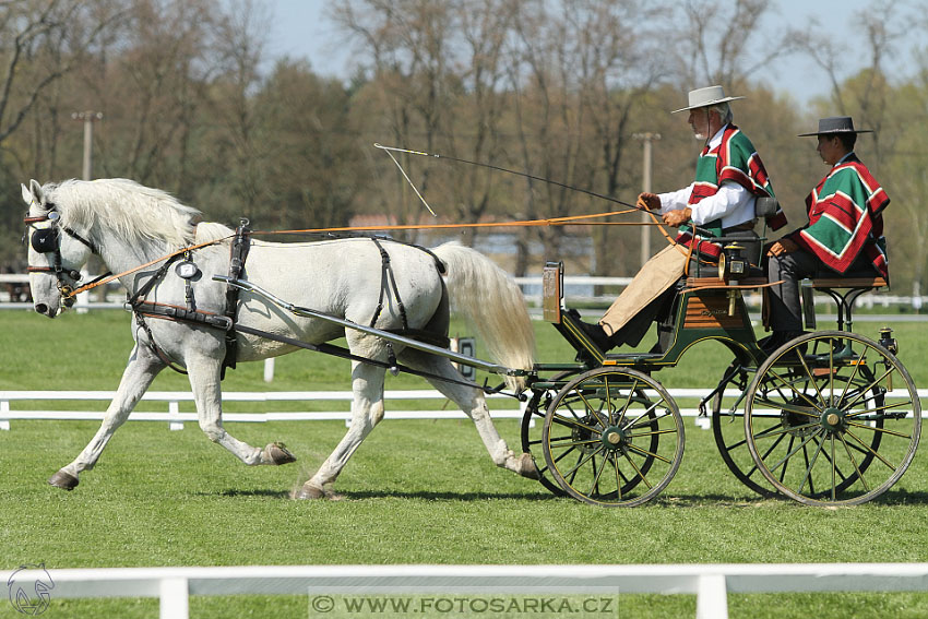 Rudolfův pohár 2016 - 2.den