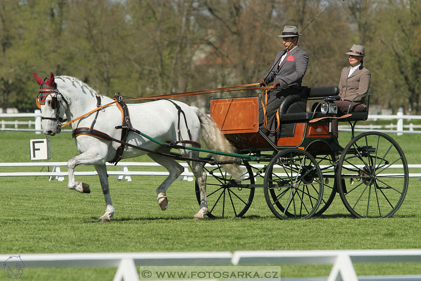 Rudolfův pohár 2016 - 2.den