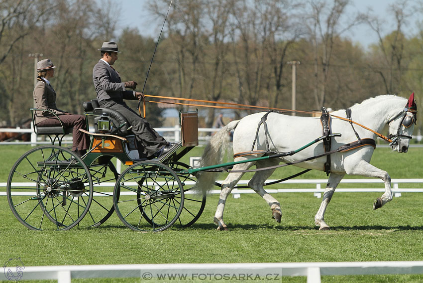 Rudolfův pohár 2016 - 2.den