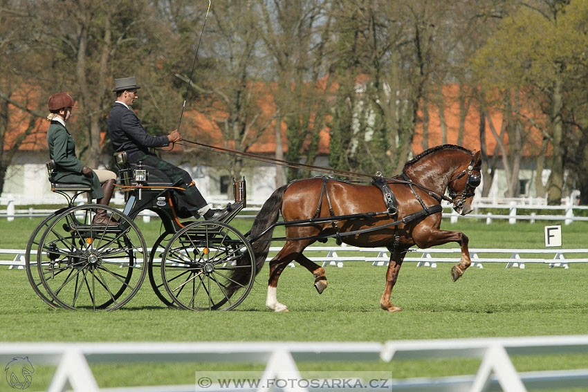 Rudolfův pohár 2016 - 2.den