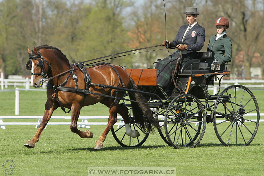 Rudolfův pohár 2016 - 2.den