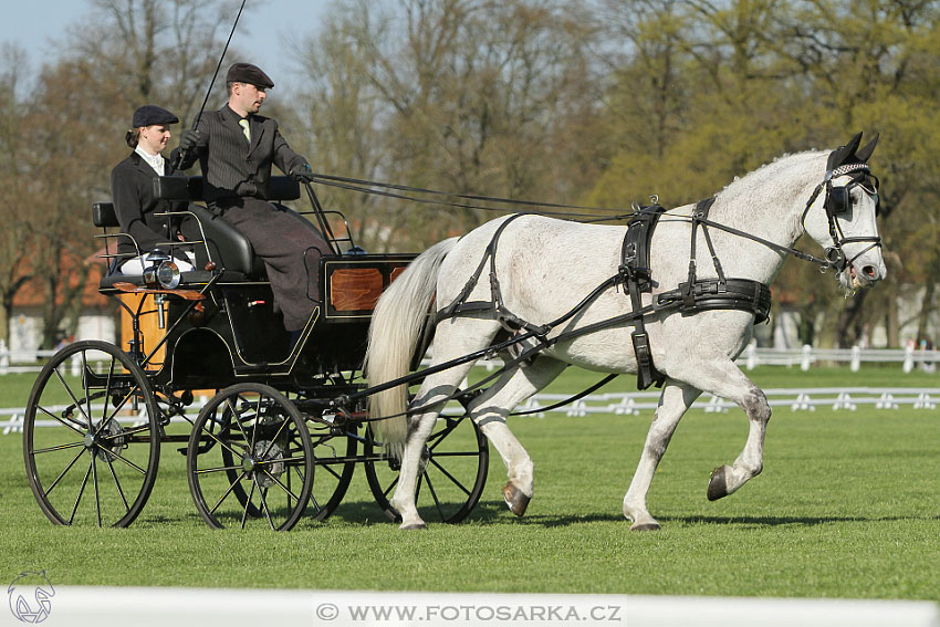 Rudolfův pohár 2016 - 2.den