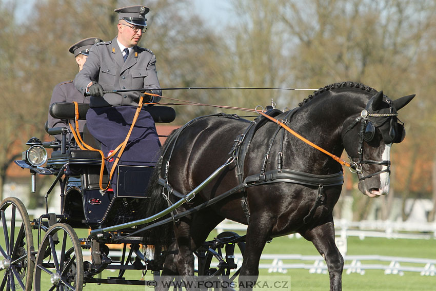 Rudolfův pohár 2016 - 2.den