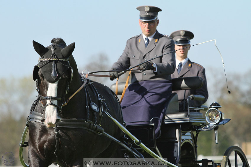 Rudolfův pohár 2016 - 2.den