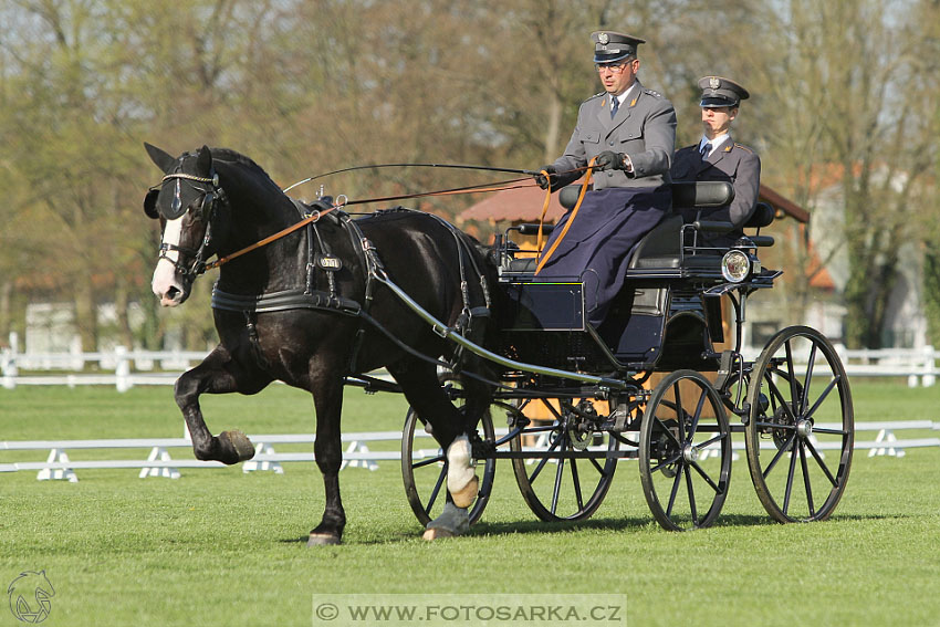 Rudolfův pohár 2016 - 2.den