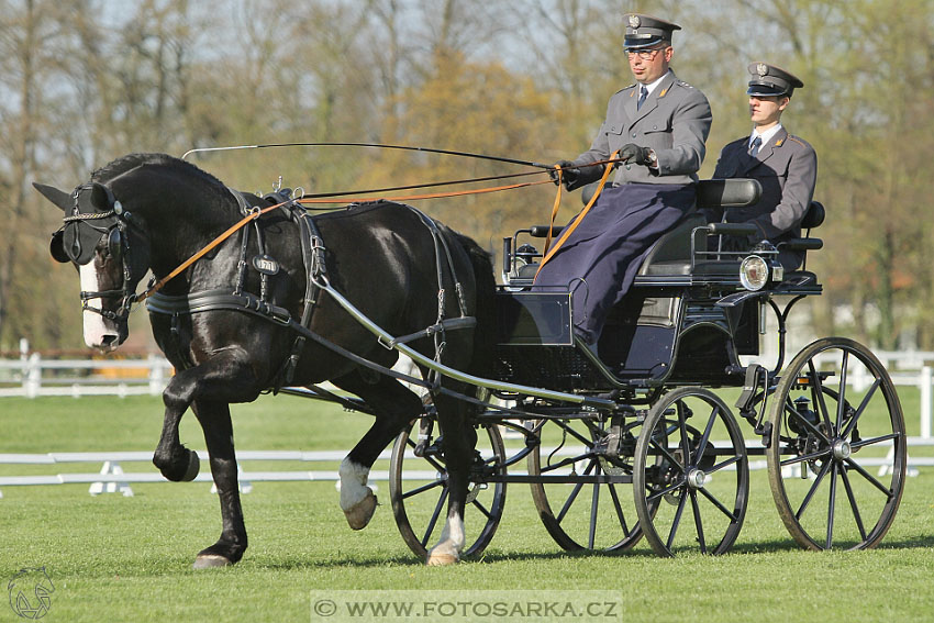 Rudolfův pohár 2016 - 2.den