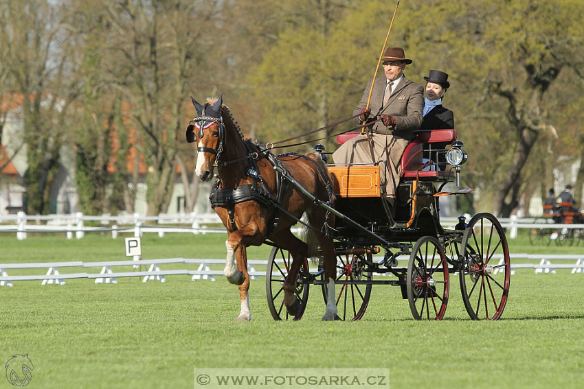 Rudolfův pohár 2016 - 2.den