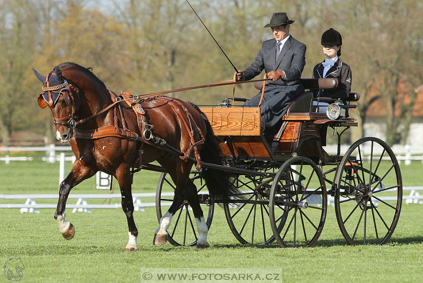 Rudolfův pohár 2016 - 2.den