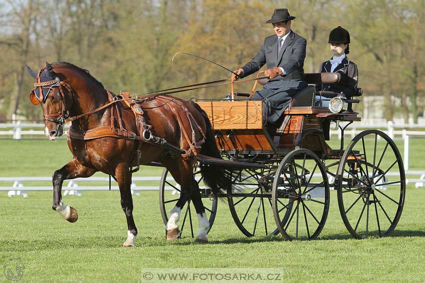 Rudolfův pohár 2016 - 2.den