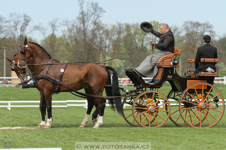 Rudolfův pohár 2016 - 3.den