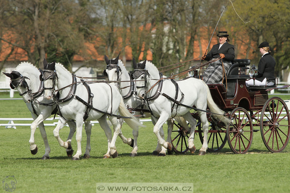 Rudolfův pohár 2016 - 3.den