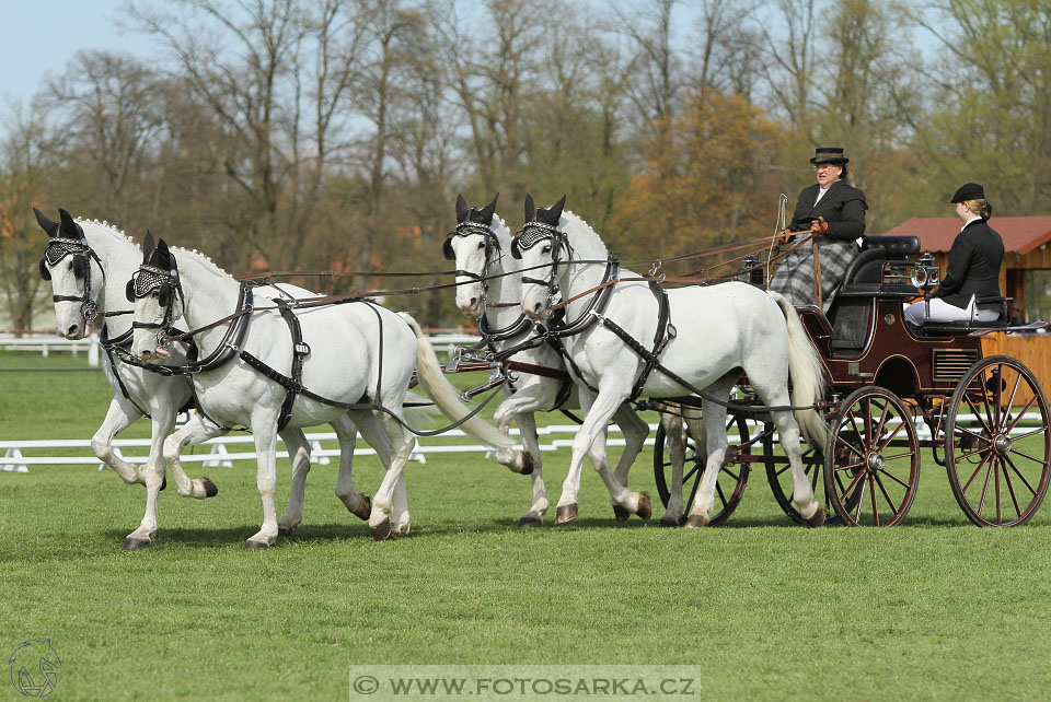 Rudolfův pohár 2016 - 3.den