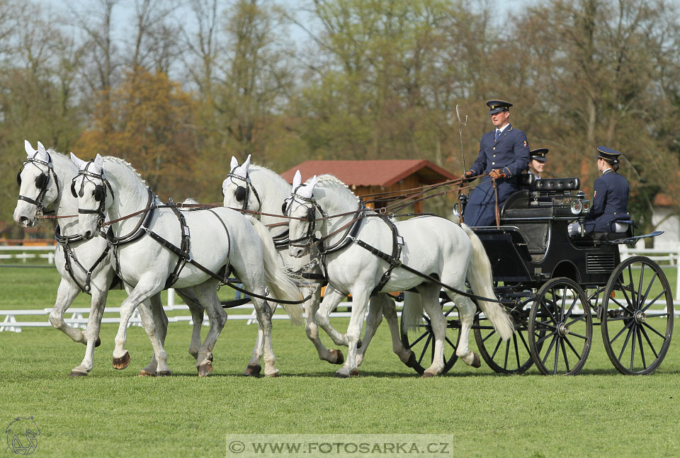 Rudolfův pohár 2016 - 3.den