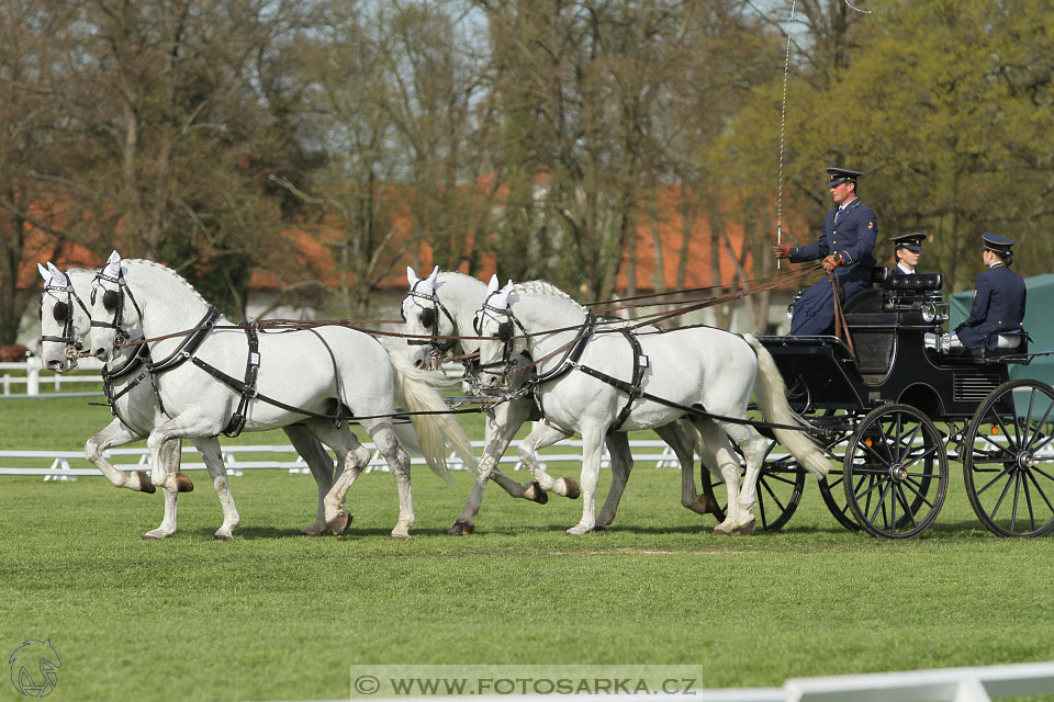 Rudolfův pohár 2016 - 3.den