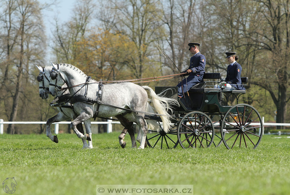 Rudolfův pohár 2016 - 3.den