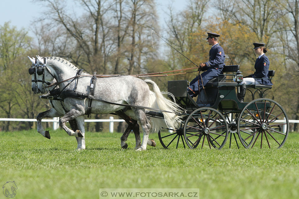 Rudolfův pohár 2016 - 3.den