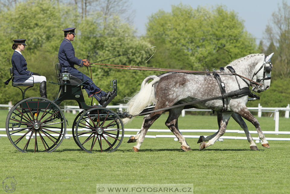 Rudolfův pohár 2016 - 3.den