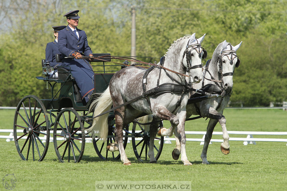 Rudolfův pohár 2016 - 3.den