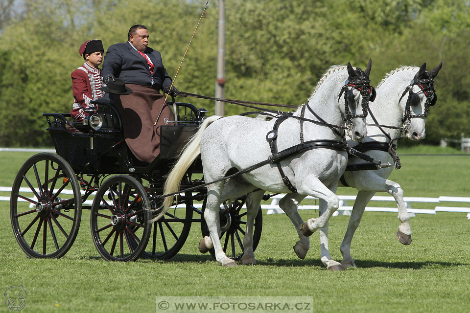 Rudolfův pohár 2016 - 3.den