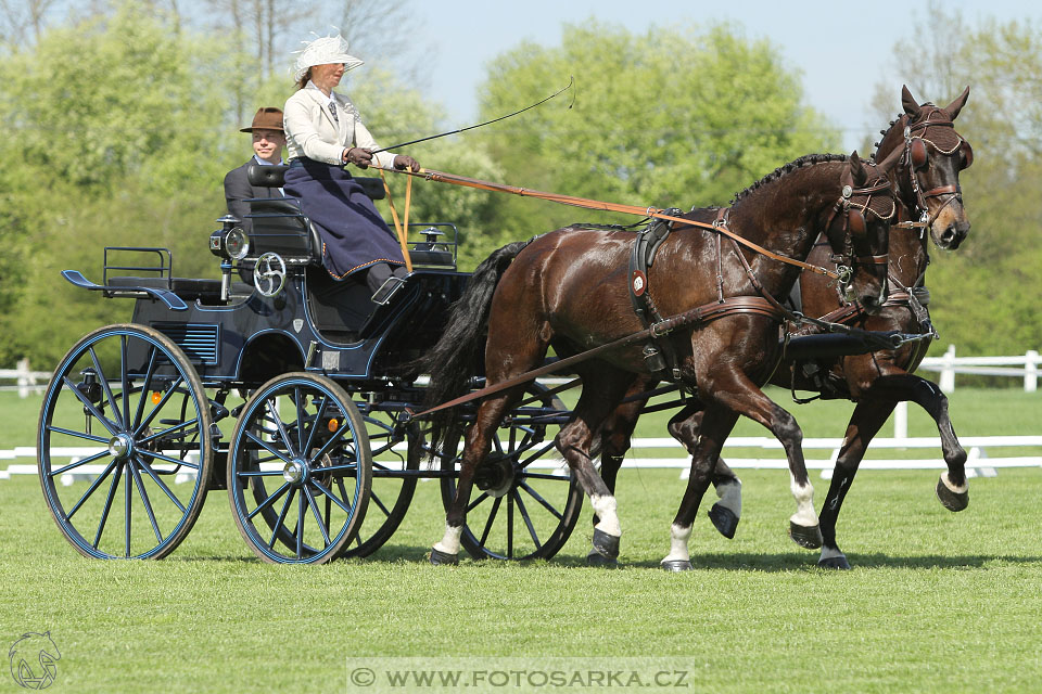 Rudolfův pohár 2016 - 3.den