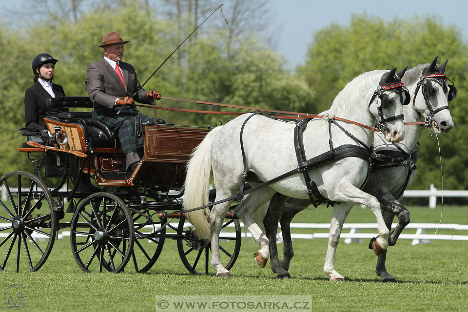 Rudolfův pohár 2016 - 3.den