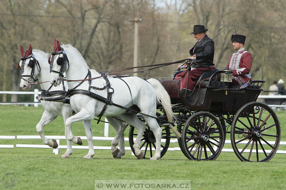 Rudolfův pohár 2016 - 3.den