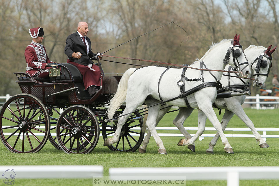 Rudolfův pohár 2016 - 3.den