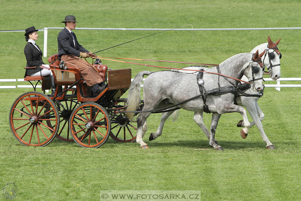 Rudolfův pohár 2016 - 3.den