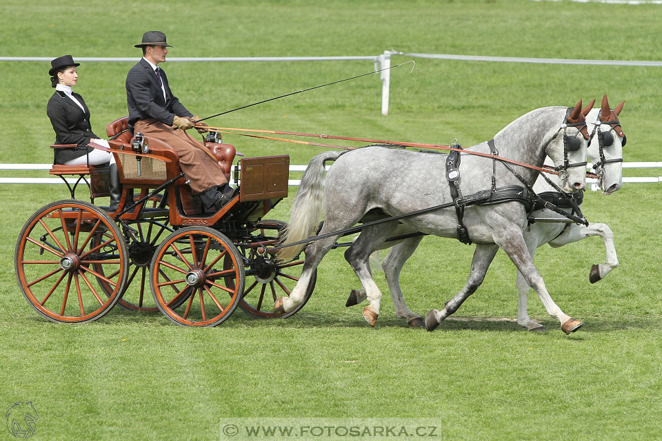 Rudolfův pohár 2016 - 3.den