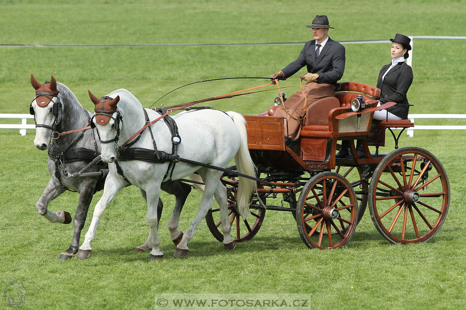 Rudolfův pohár 2016 - 3.den