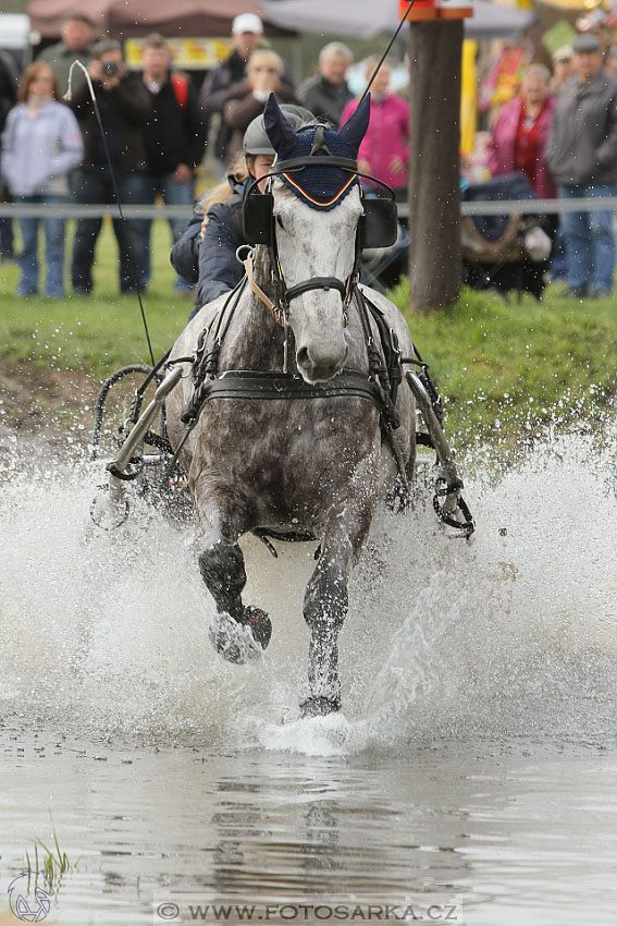 Rudolfův pohár 2016 - 4.den