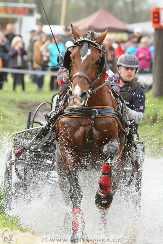 Rudolfův pohár 2016 - 4.den