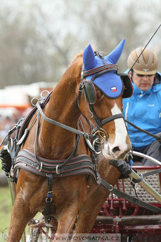 Rudolfův pohár 2016 - 4.den