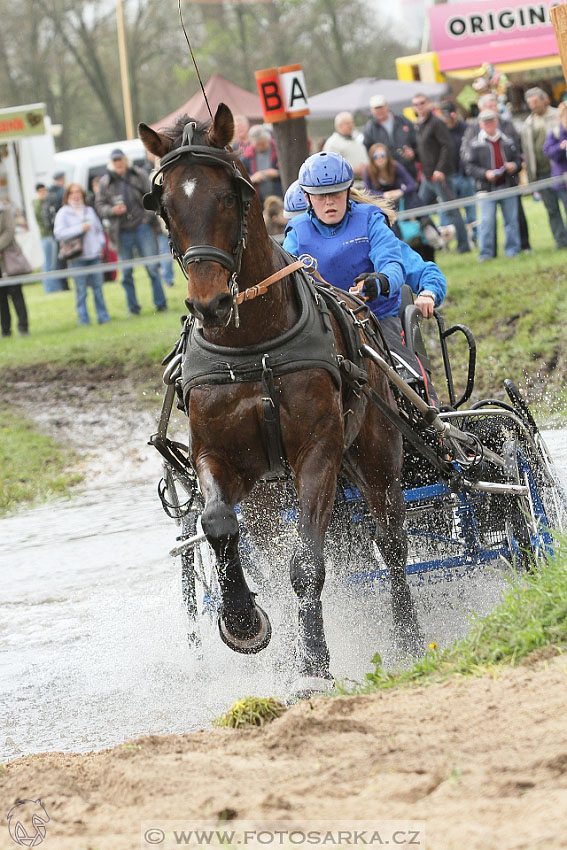 Rudolfův pohár 2016 - 4.den