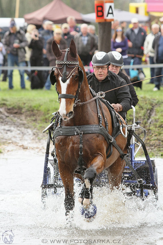 Rudolfův pohár 2016 - 4.den