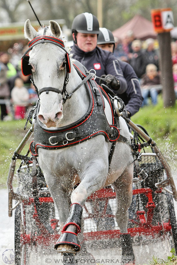 Rudolfův pohár 2016 - 4.den