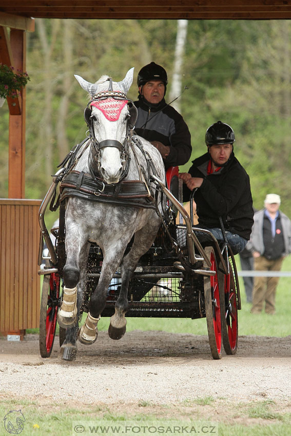 Rudolfův pohár 2016 - 4.den