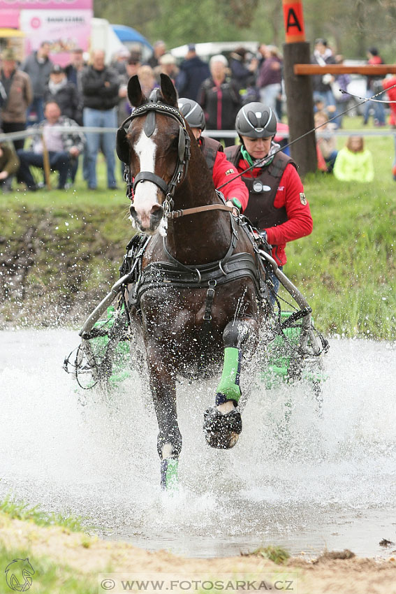 Rudolfův pohár 2016 - 4.den