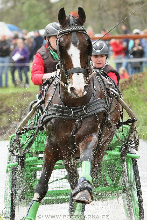 Rudolfův pohár 2016 - 4.den