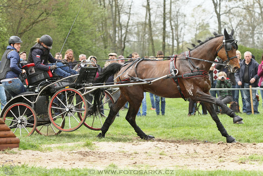 Rudolfův pohár 2016 - 4.den