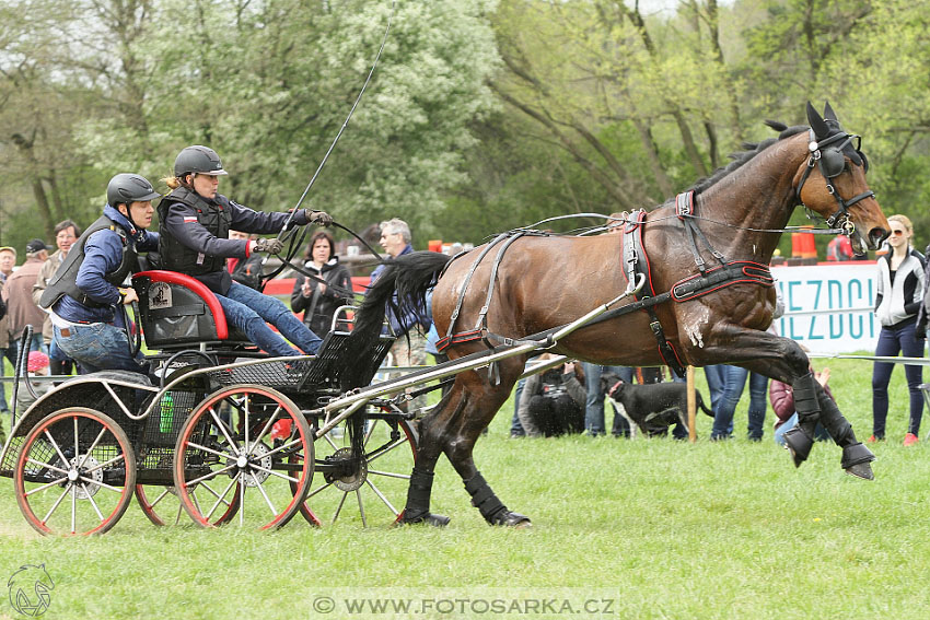 Rudolfův pohár 2016 - 4.den