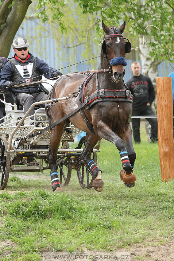 Rudolfův pohár 2016 - 4.den