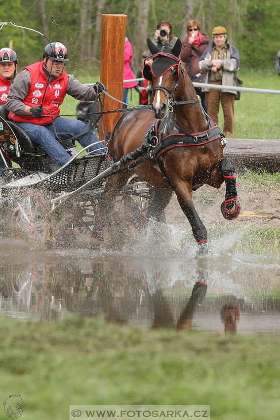 Rudolfův pohár 2016 - 4.den